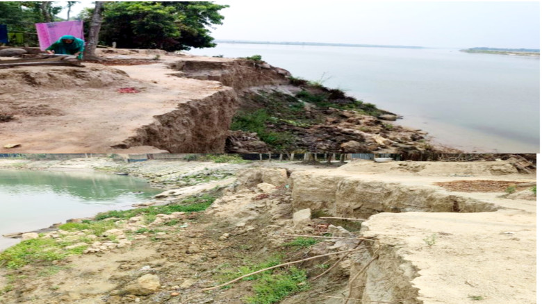 নড়াইলের মধুমতী নদীর অসময়ে ভাঙছে বিপাকে নদী পাড়ের মানুষ