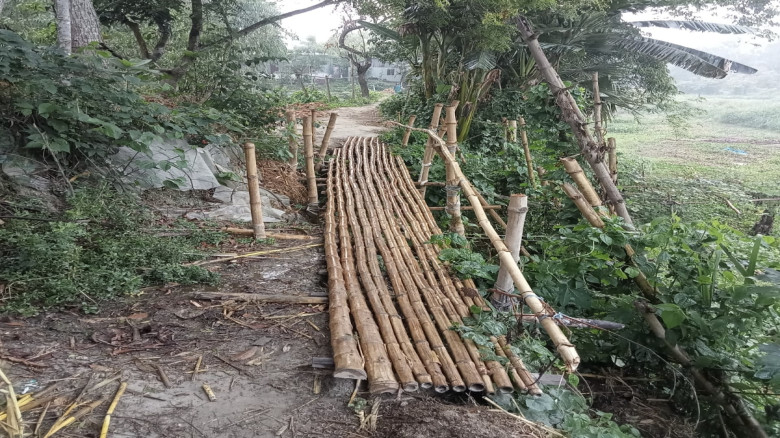 দৌলতপুরে হাজার মানুষের চলাচলের ভরসা বাঁশের সেতু