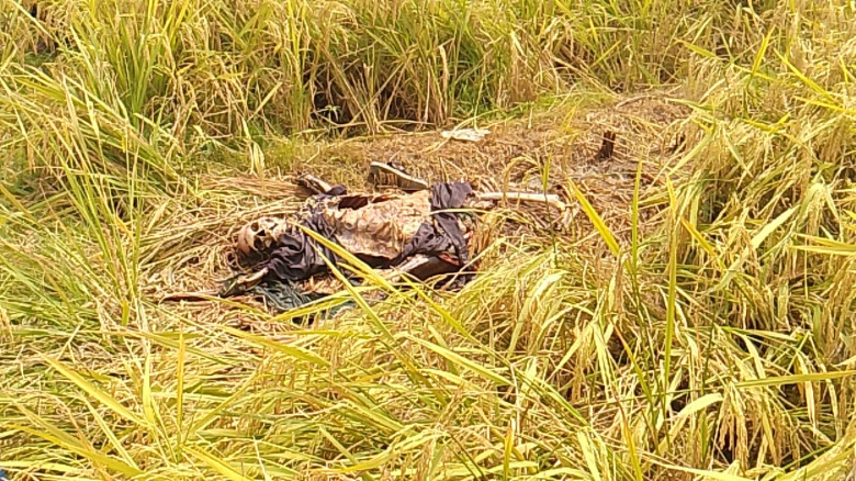 দিনাজপুর বোচাগঞ্জে  উপজেলায় জালগাঁও এলাকায় একটি ধান ক্ষেতে অর্ধগলিত নারীর  লাশ পাওয়া যায়